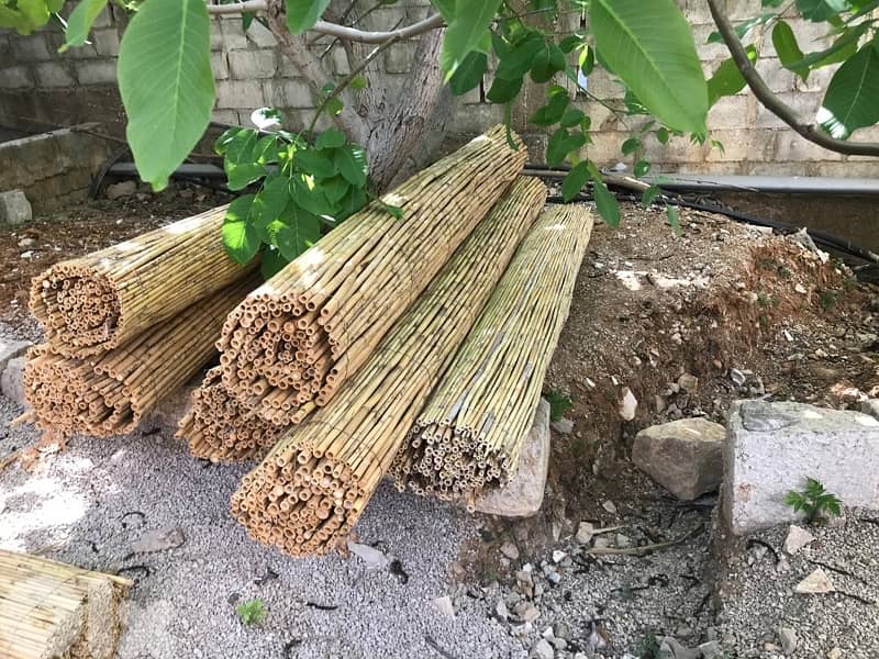 قصب للخيم و للزينة في بيروت). SPECIAL PRICE !!bamboo rolls in beirut 8