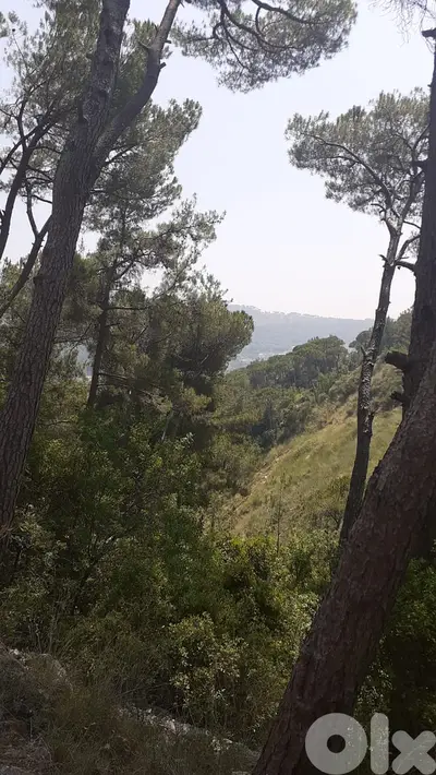 L15517-A 3675 SQM Land for Sale in Qonnabet Baabdat