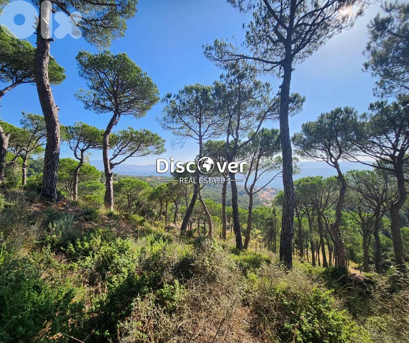 Prestigious Address | Land for sale in NAAS ( shalimar area ) 0