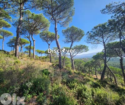 Prestigious Address | Land for sale in NAAS ( shalimar area )
