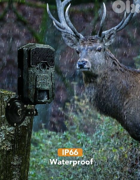 APMAN H55 20MP 1080P Cam Nightvision for wildlife & garden/4$ delivery 13