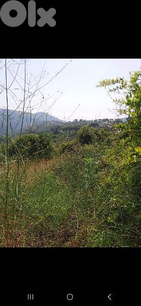 ارض للبيع في دقون land for sale in daoon