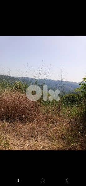 ارض للبيع في دقون land for sale in daoon