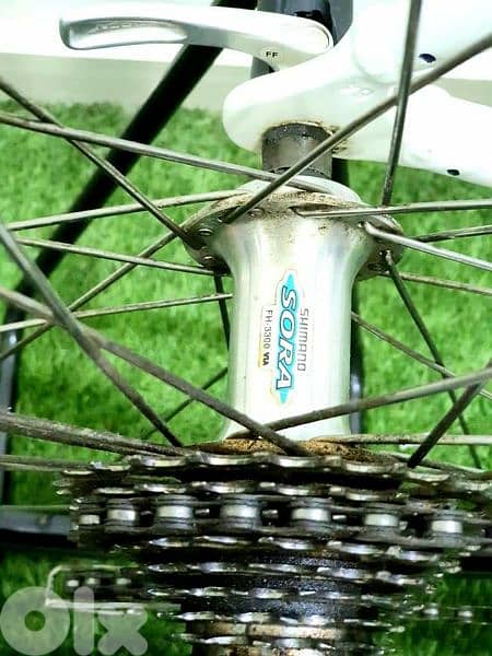 focus road bike 28 used like new 10