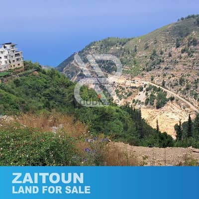 Land for sale in Zeitoun - أرض للبيع في زيتون