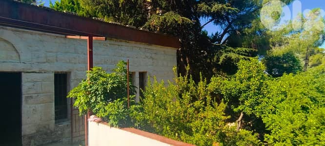 L15564-Land for Sale with an Old House In Maaysra