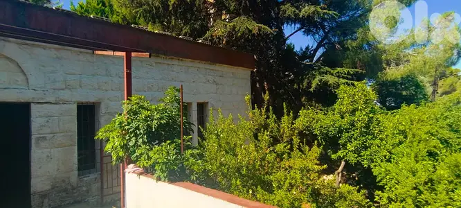 L15564-Land for Sale with an Old House In Maaysra