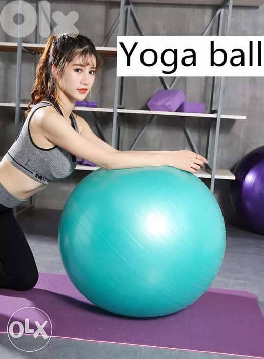 Exercise Ball with pump 0