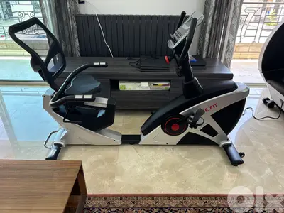 Deluxe Recumbent bike