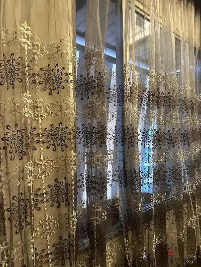 بيروت بيروت