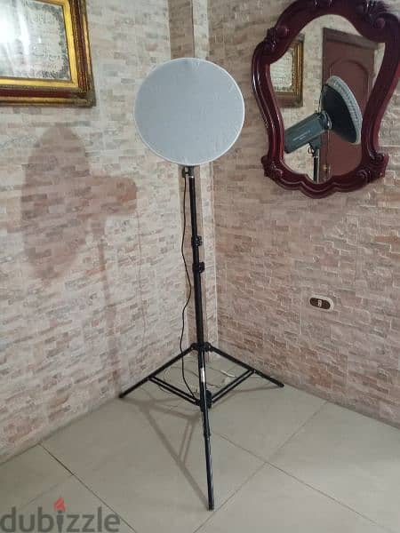 beauty dish 0
