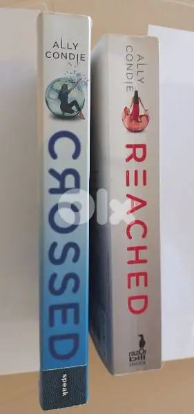 Ally Condle Best-Selling Novels:Reached