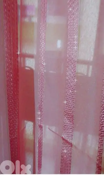 برادي