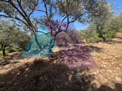 4121 m2 land +open mountain view for sale in Monsefأرض للبيع في المنصف