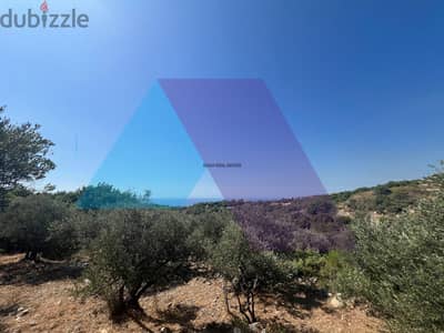 4121 m2 land +open mountain view for sale in Monsefأرض للبيع في المنصف