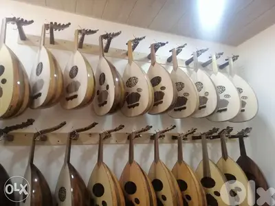 عروضاتنا ما بتنتهي مع شنطه وريشه