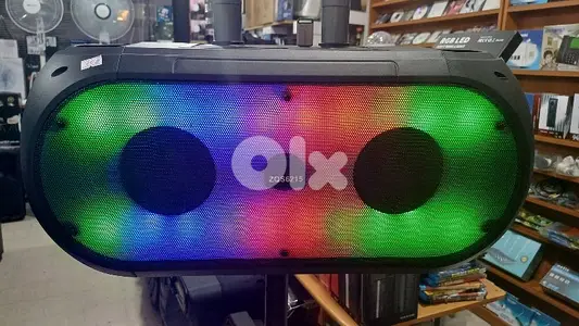 speaker 2x6 inch with 2 mic wireless