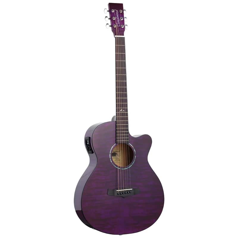 Tanglewood TA4CEPU Electro-Acoustic Guitar 0