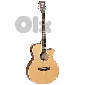 Tanglewood TW9 Electro-Acoustic Guitar