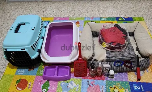 اغراض قطة