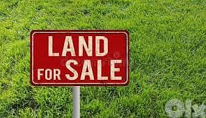 Land for sale in Batroun ارض للبيع في بترون