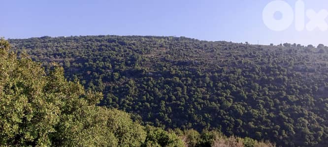 Land for sale in Batroun ارض للبيع في بترون