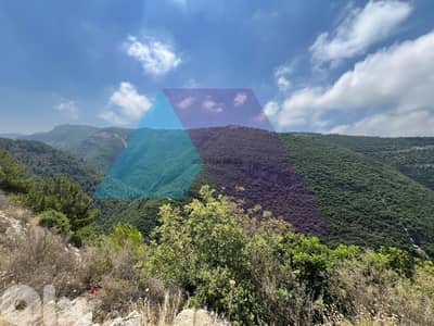 608 m2 land + open view for sale in Blat / Jbeil - أرض في بلاط جبيل