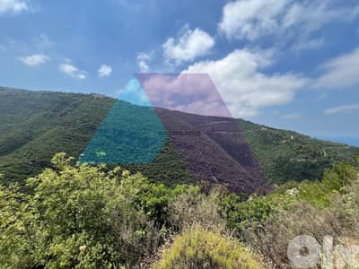 608 m2 land + open view for sale in Blat / Jbeil - أرض في بلاط جبيل