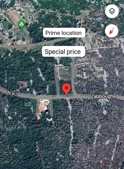 Prime location Square Land in Zabougha زبوغة Panoramic view