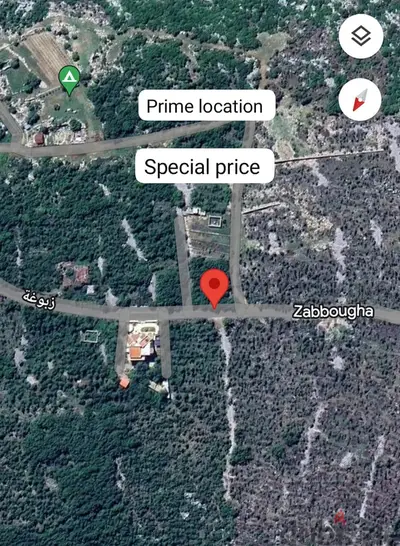 Prime location Square Land in Zabougha زبوغة Panoramic view