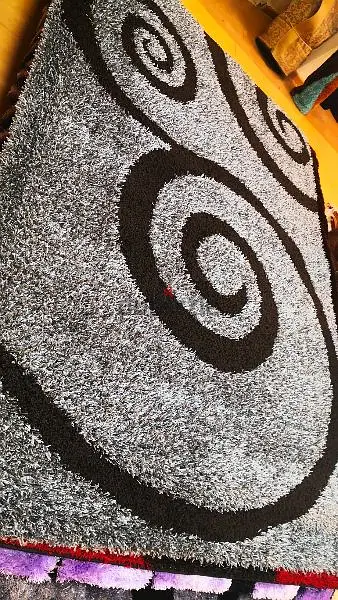 NEW SHAGGY CARPET 2x3 $60 only