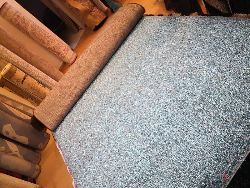 NEW SHAGGY CARPET 2x3 $60 only 2