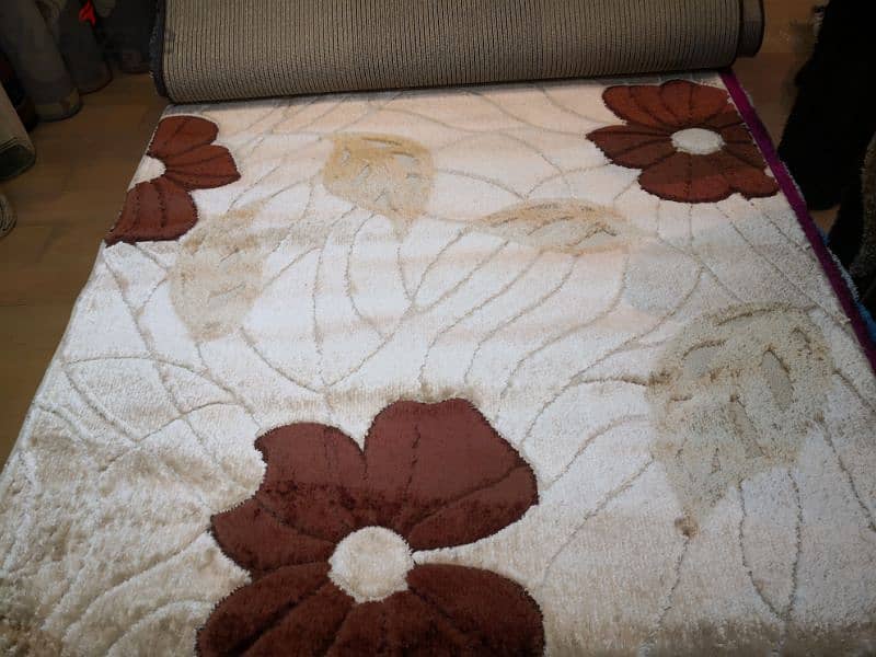 NEW SHAGGY CARPET 2x3 $60 only 7