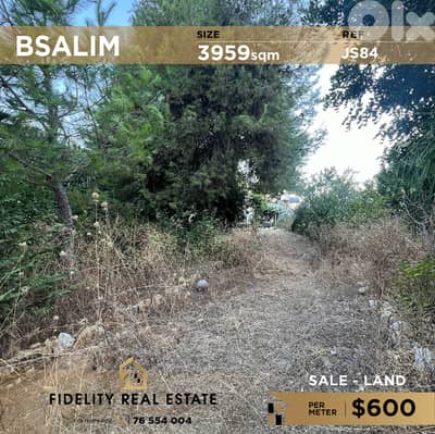 Land for sale in Bsalim JS84 أرض للبيع في بصاليم
