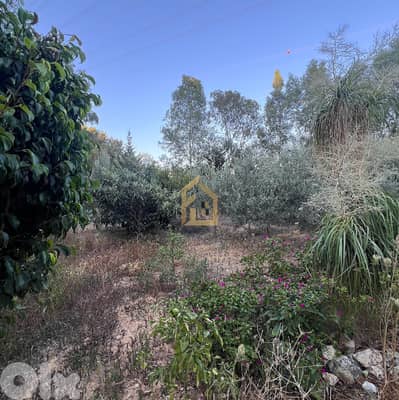 Land for sale in Bsalim JS84 أرض للبيع في بصاليم