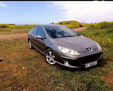 Peugeot 407 2005