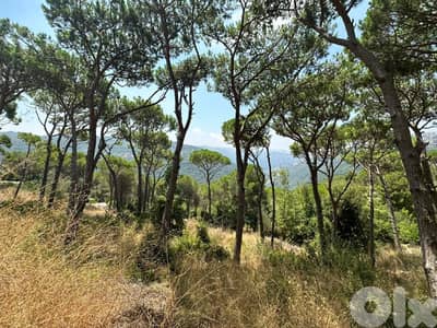 Prime Location | 2650 Sqm | Land For Sale In Broumana