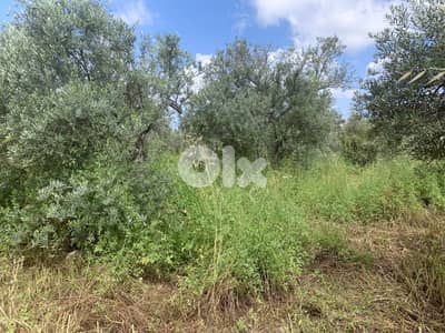 RWB127NK - Land for sale in Hosrayel Jbeil
