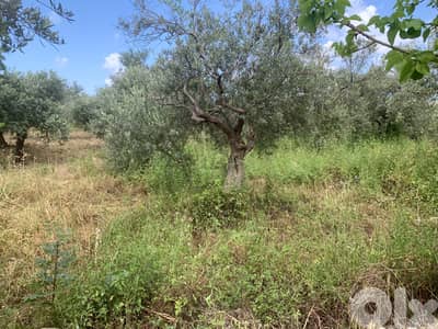 RWB127NK - Land for sale in Hosrayel Jbeil