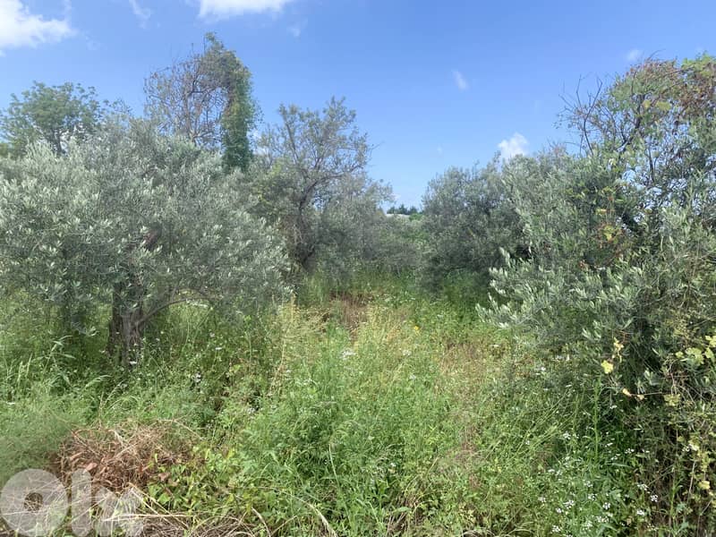 RWB127NK - Land for sale in Hosrayel Jbeil 2