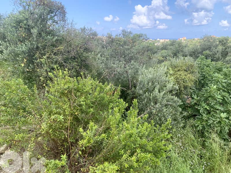 RWB127NK - Land for sale in Hosrayel Jbeil 3