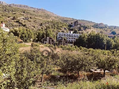Land For Sale in Faraya