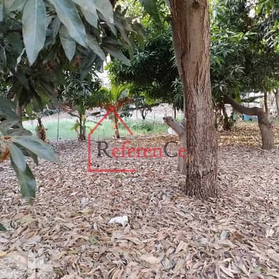 Outstanding 1000sqm Land For Sale In Zalka. أرض رائعة للبيع في الزلقا
