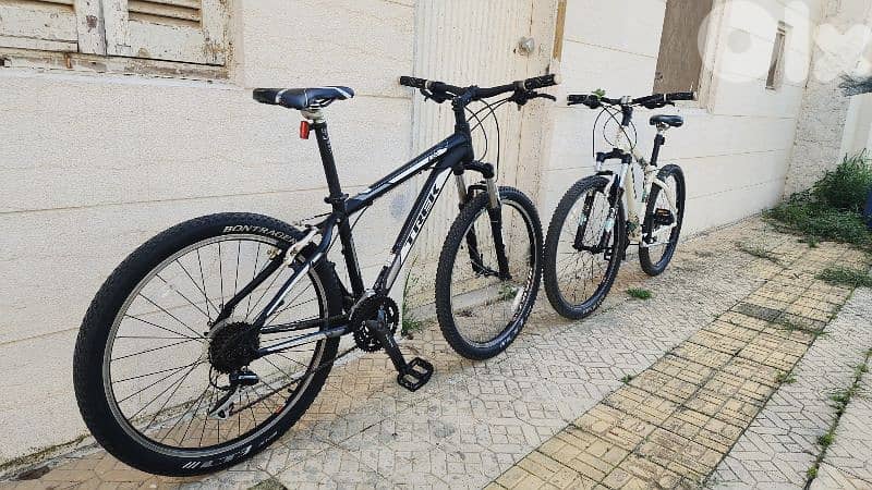 trek  bike 6