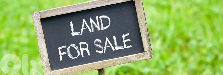 Land for sale in Mar Chaaya ارض للبيع في مار شعيا