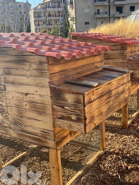 Chicken Cages بيوت دجاج 0
