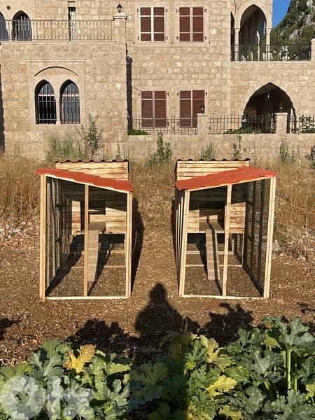 Chicken Cages بيوت دجاج 2