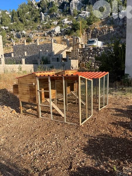 Chicken Cages بيوت دجاج 3