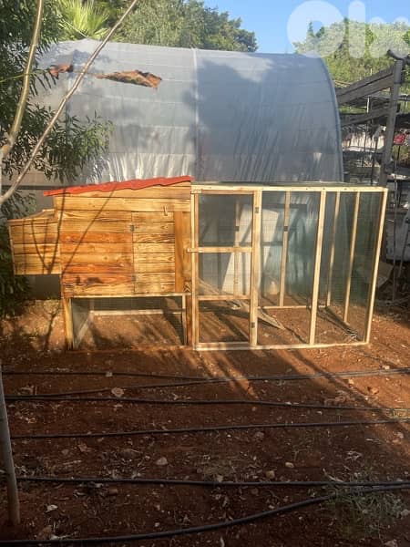 Chicken Cages بيوت دجاج 4