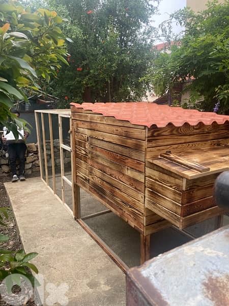 Chicken Cages بيوت دجاج 5